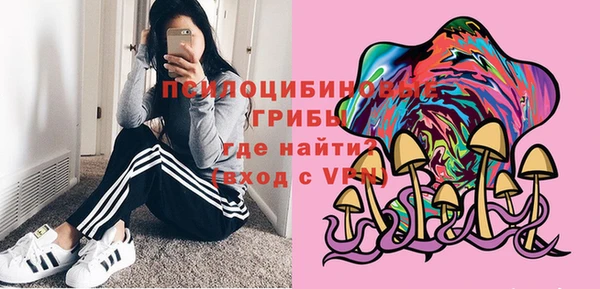 эйфоретик Верея