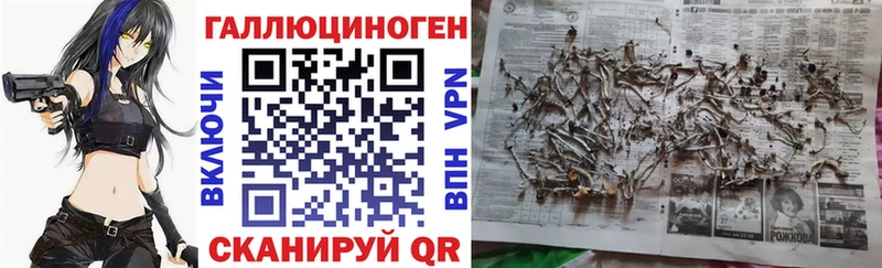закладки  Люберцы  Псилоцибиновые грибы MAGIC MUSHROOMS 